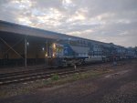 RUMO 9888